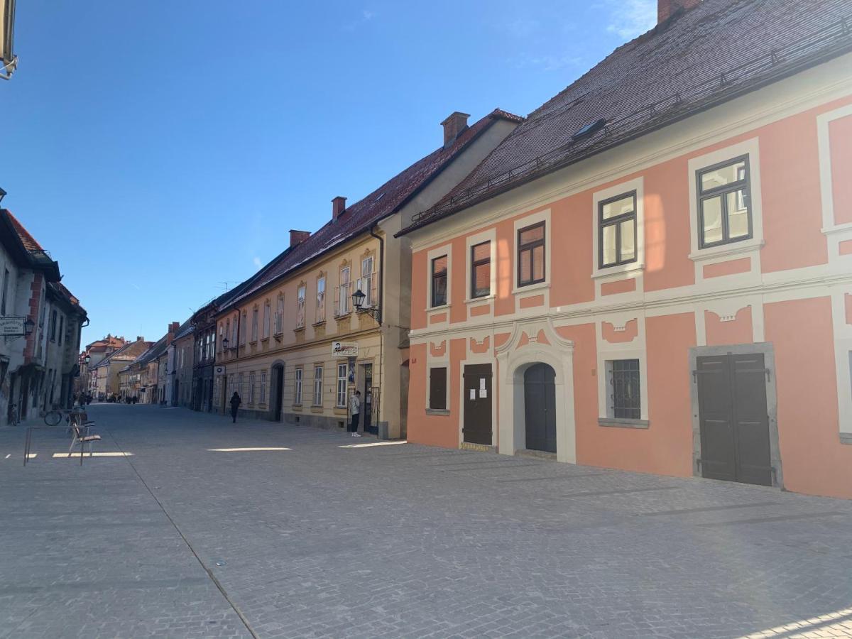 Bella Donna Leilighet Maribor Eksteriør bilde